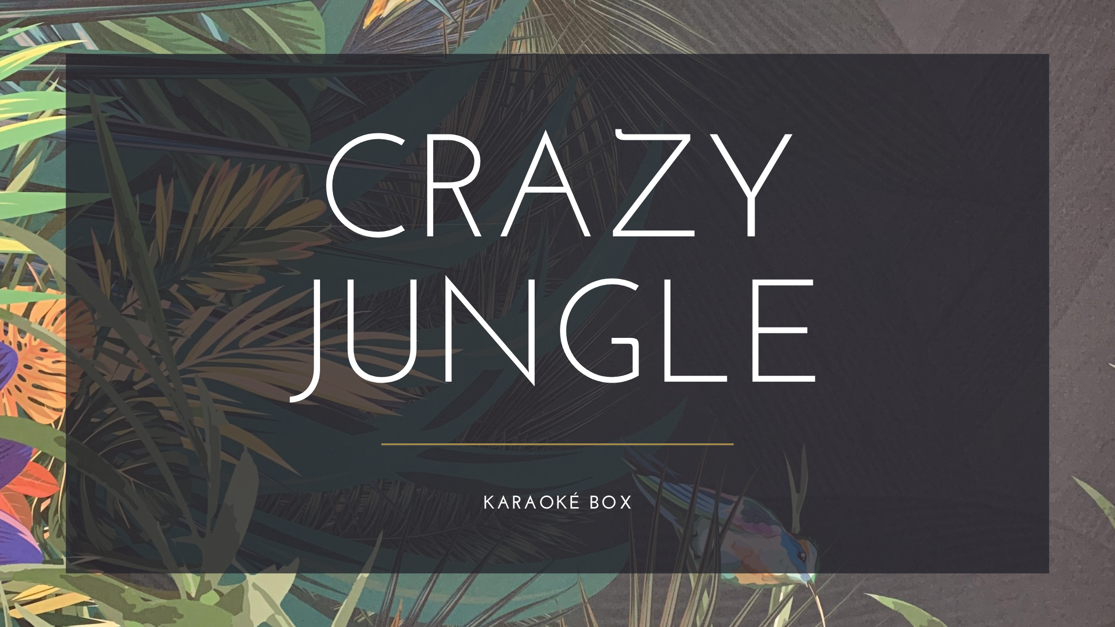 karaoké box grenoble crazy jungle