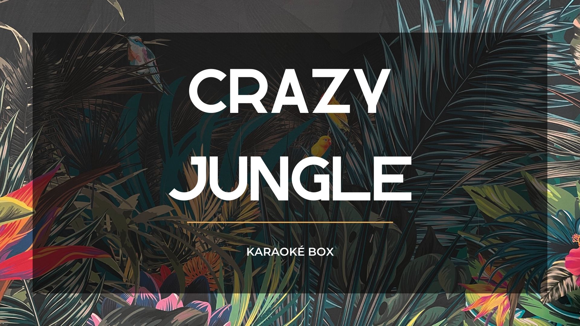 karaoké grenoble crazy jungle